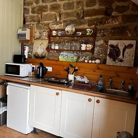 캠프장 Shepherd's Hut Bilsdale