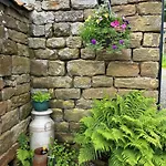 Campingplads Shepherd's Hut Bilsdale