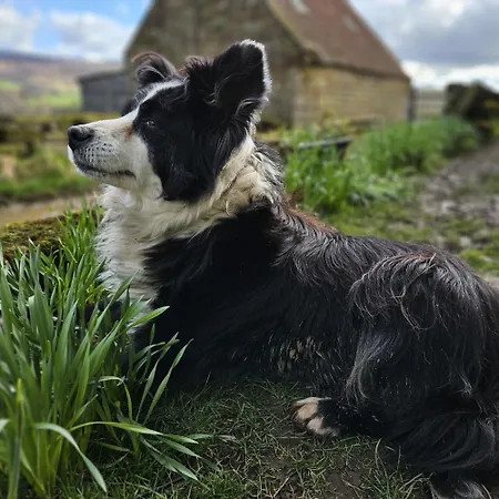 Shepherd's Hut Bilsdale * Chop Gate