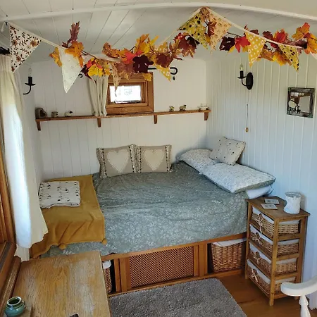 Campsite Shepherd's Hut Bilsdale