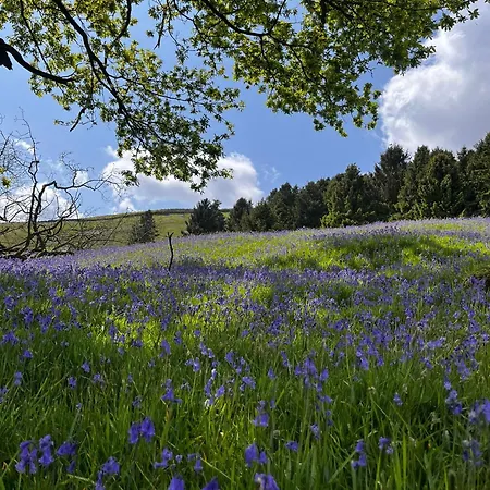 Shepherd's Hut Bilsdale Campsite Chop Gate