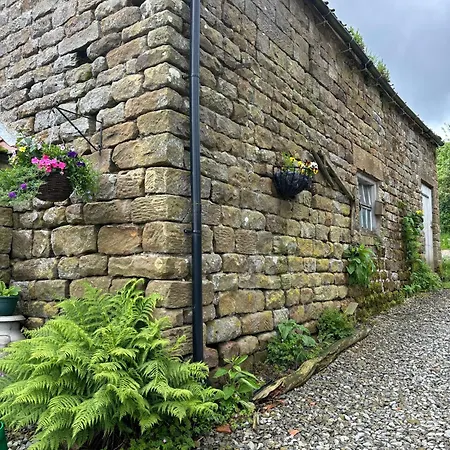 Shepherd's Hut Bilsdale Campsite
