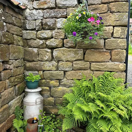 Camping Shepherd's Hut Bilsdale