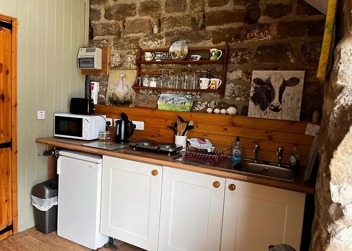 Campsite Shepherd's Hut Bilsdale