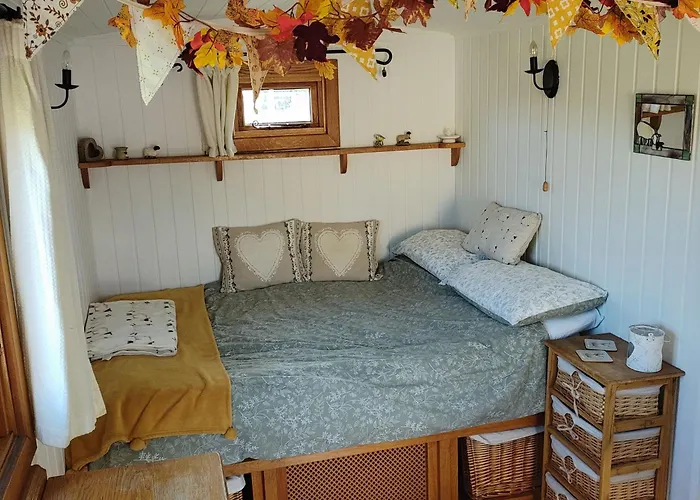 Campsite Shepherd's Hut Bilsdale