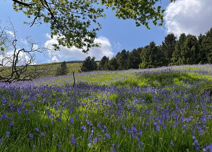 Shepherd's Hut Bilsdale Campsite Chop Gate