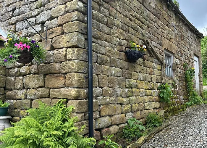 Shepherd's Hut Bilsdale Campsite