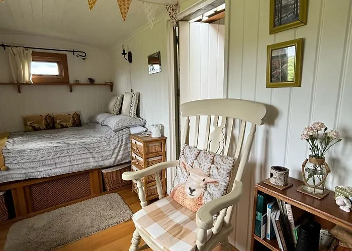 Campsite Shepherd's Hut Bilsdale *