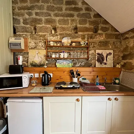 Shepherd's Hut Bilsdale 营地